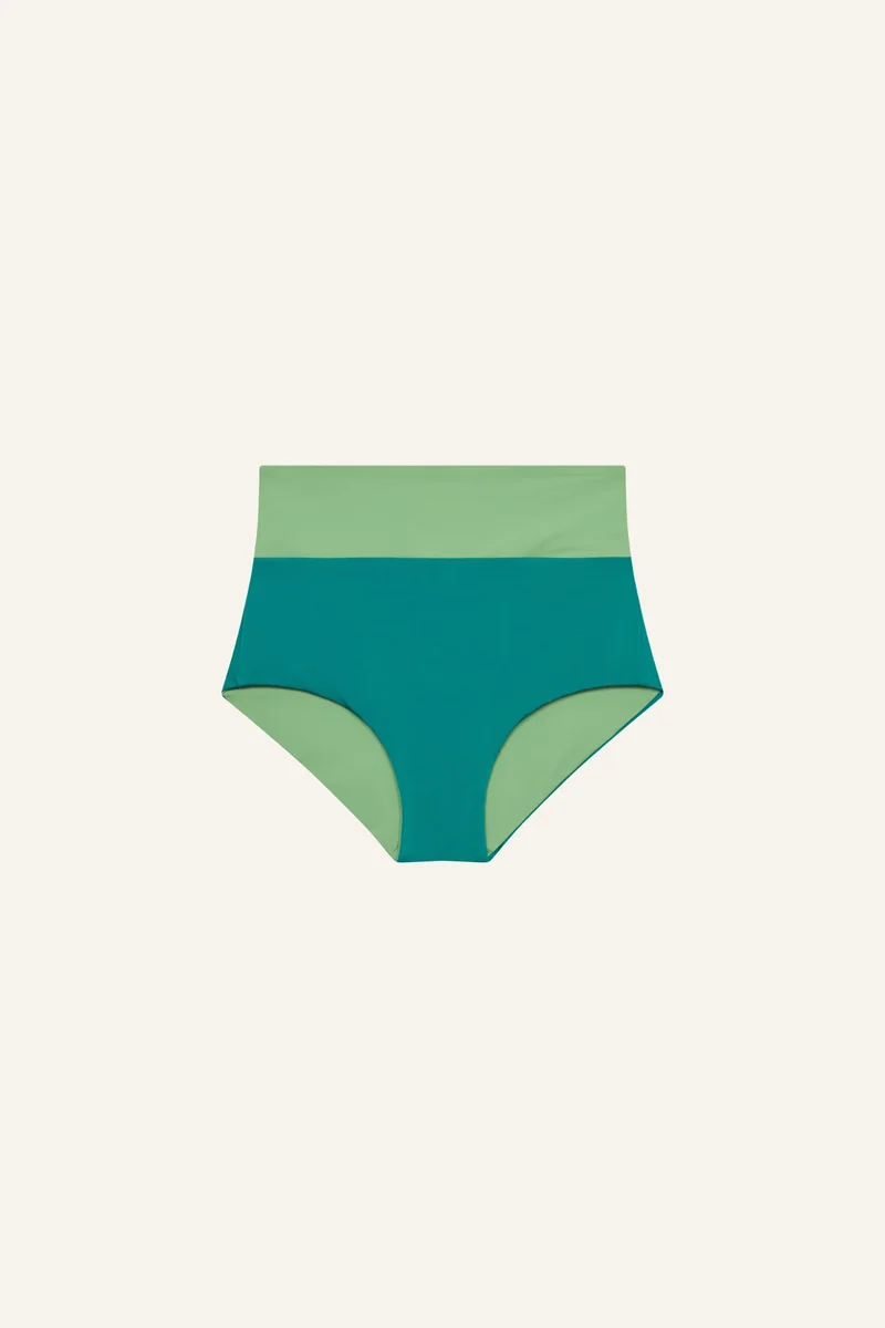 Surf Shorts Shine