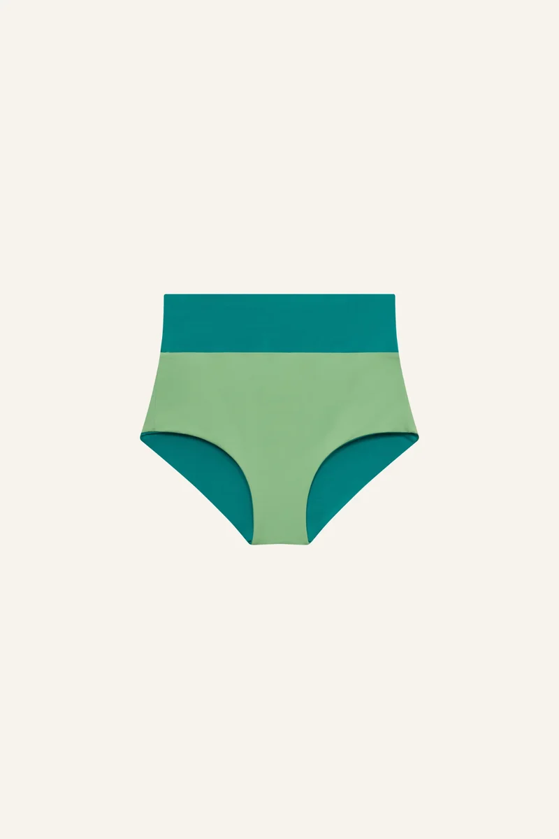 Surf Shorts Shine