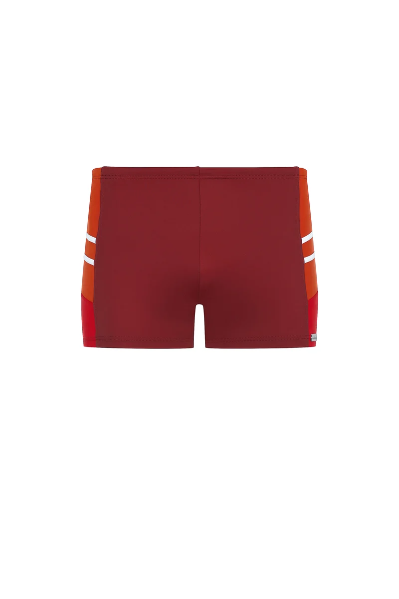 Solid Stripes Shorts