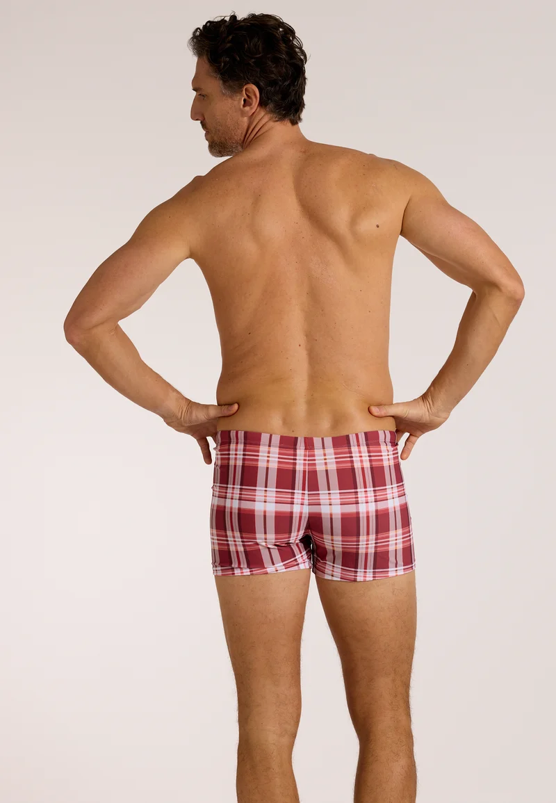 Check Swim Brief