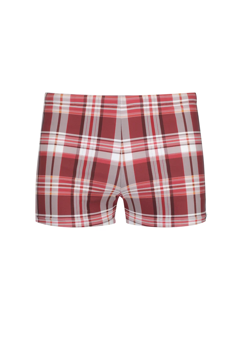 Check Swim Brief