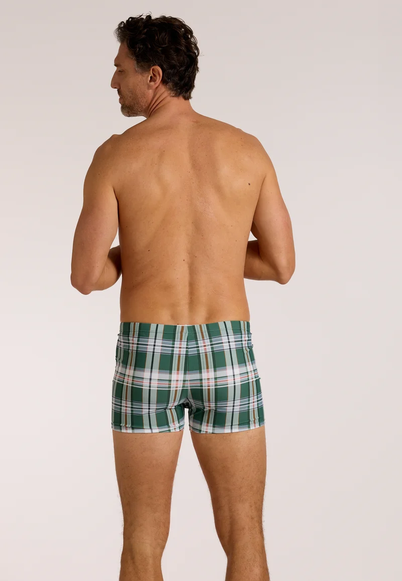 Check Swim Brief