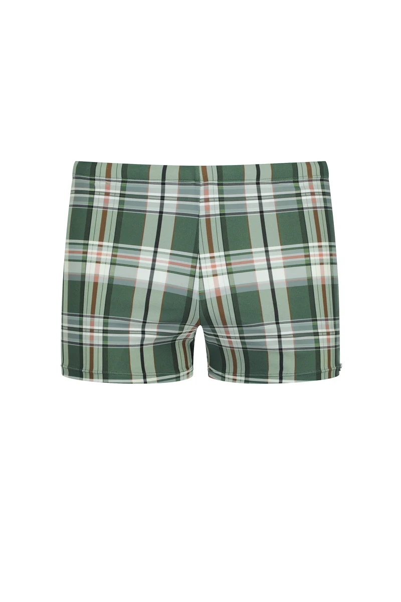 Check Swim Brief