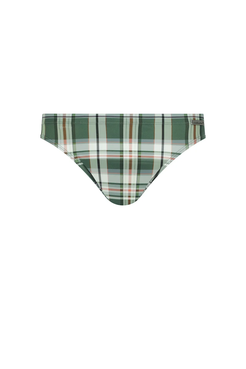 Check Swim Brief