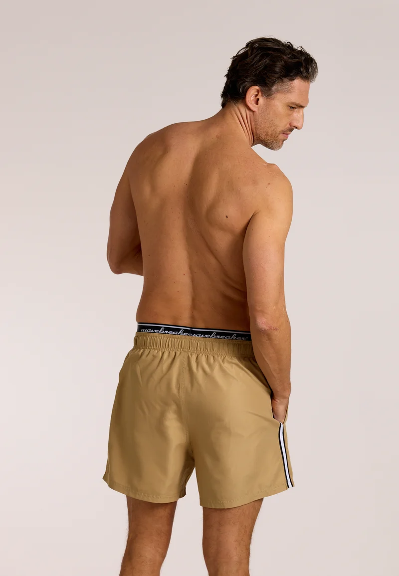 Solid Lines Shorts