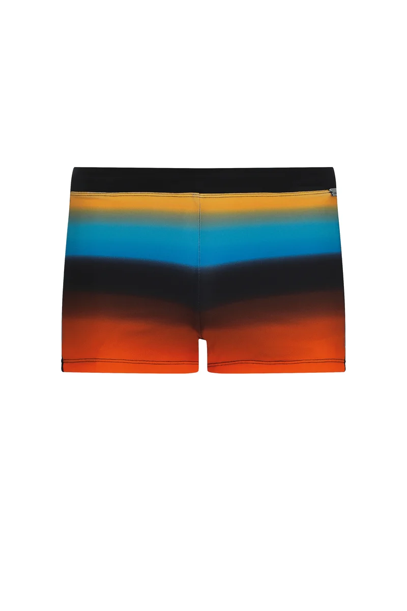 Multicolor Shorts