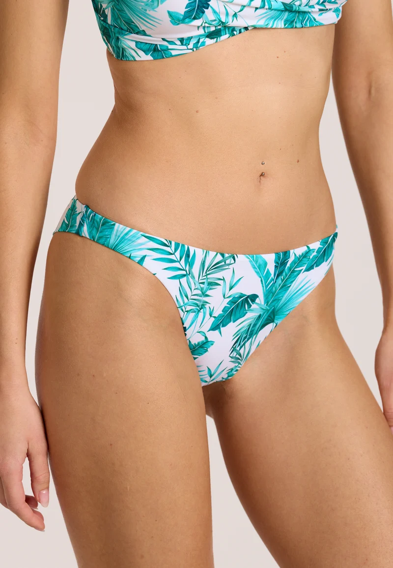 Palm Pop Bottom