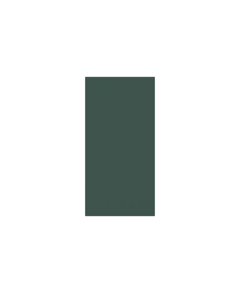Arena Microfaser Gym Handtuch Dark Sage - Artic Lime
