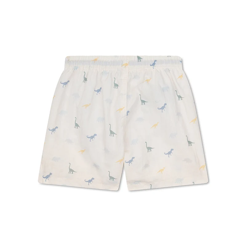 Swim Shorts - Multicolor - Dino