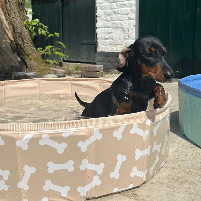 Dog Pool - Beige - Bonebash - Ø 80 cm