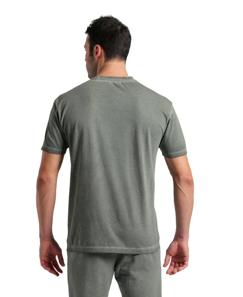 Arena Unisex T-Shirt Icons Sage Delave