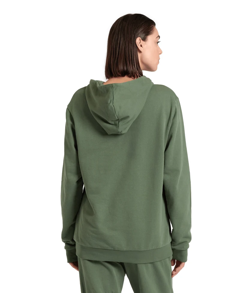 Arena Unisex Icons Kapuzenpullover Sage-Black