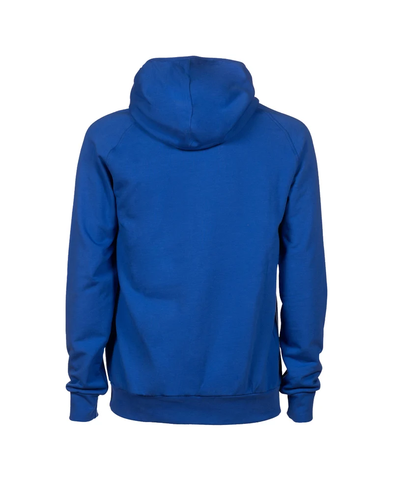 Arena Team Unisex Kapuzen Sweatshirt Panel