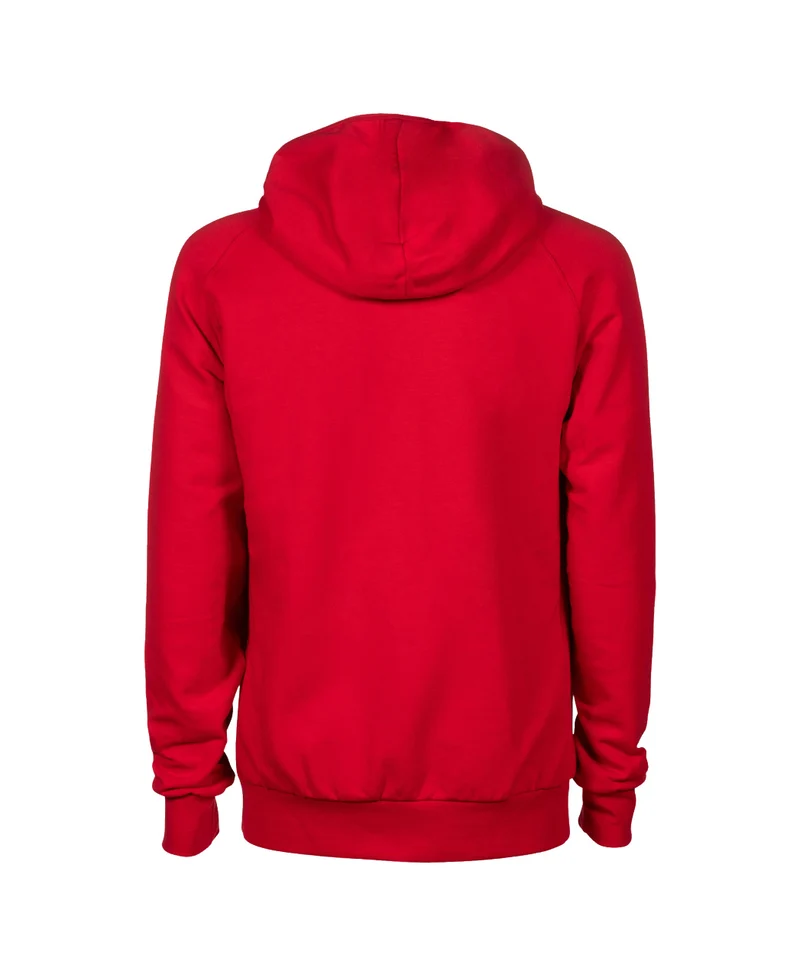 Arena Team Unisex Kapuzen Sweatshirt Panel