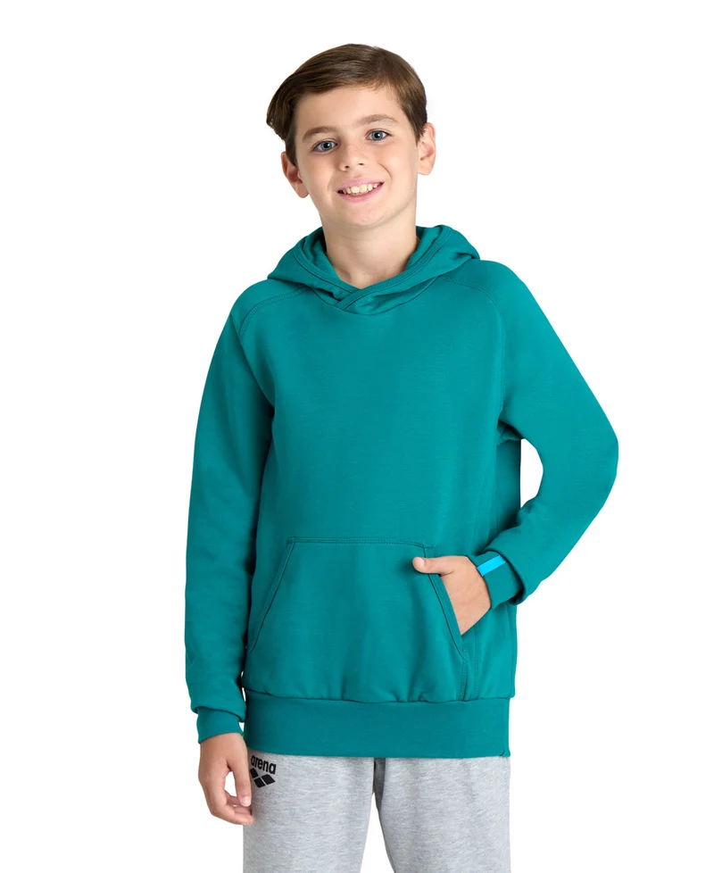Arena Team Kinder Kapuzen Sweatshirt Panel Green Lake