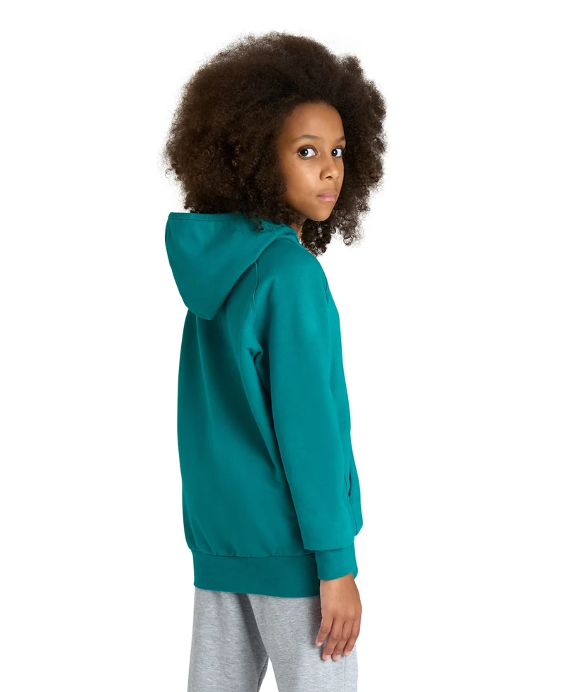 Arena Team Kinder Kapuzen Sweatshirt Panel Green Lake