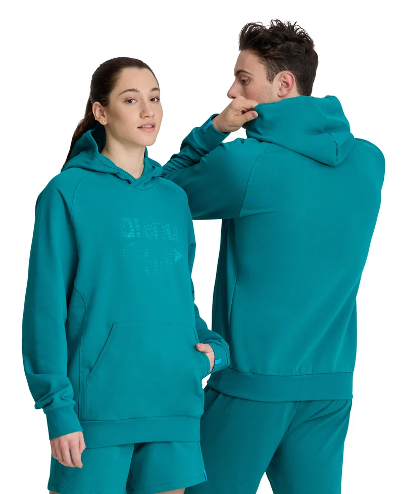 Arena Unisex LOGO Kapuzenpullover Green Lake