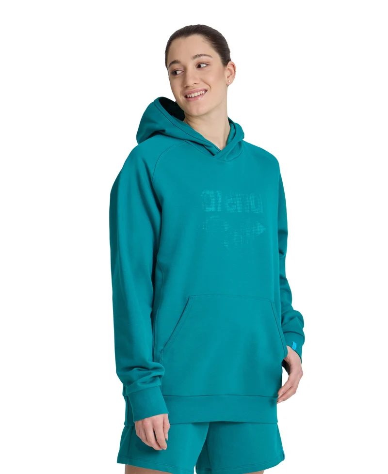 Arena Unisex LOGO Kapuzenpullover Green Lake