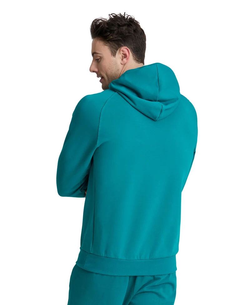 Arena Unisex LOGO Kapuzenpullover Green Lake
