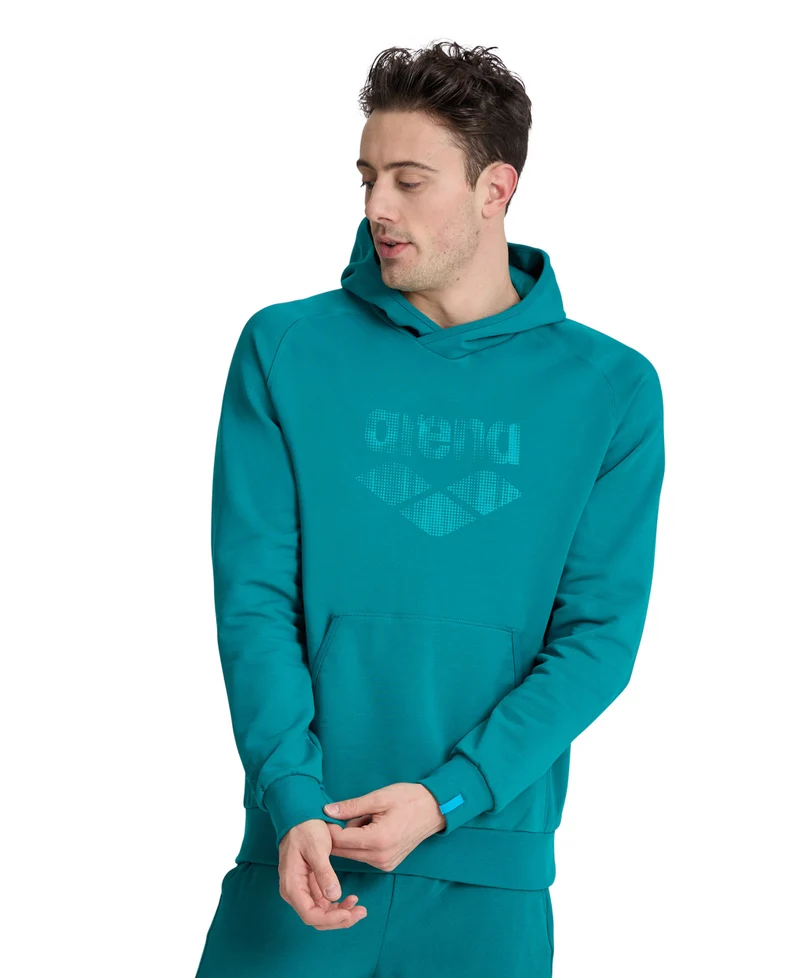 Arena Unisex LOGO Kapuzenpullover Green Lake