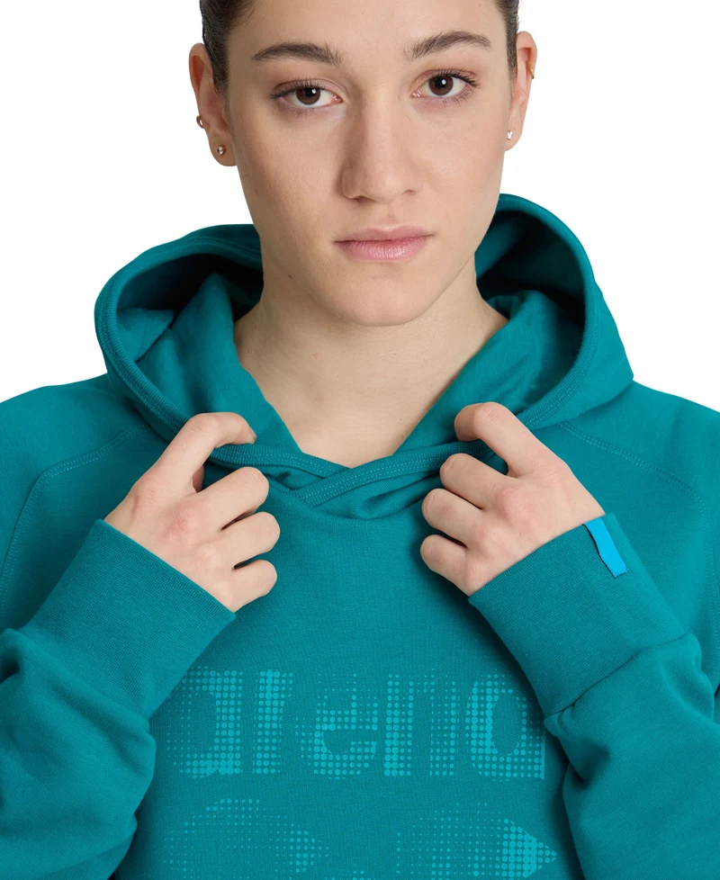 Arena Unisex LOGO Kapuzenpullover Green Lake