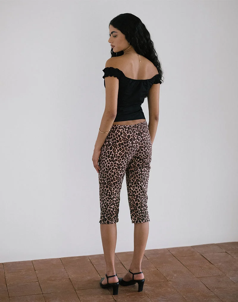 Japri Pushers in Rar Leopard Sandstorm